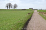 Mageleresch
